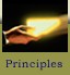 Principles